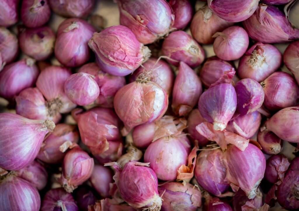 pink garlic in close up photography